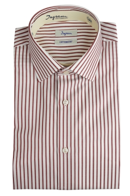 COTTONSTIR shirt in pure cotton with non-iron micro-stripes. Ingram Man