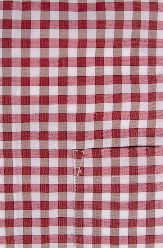 Regular men's shirt in checked patterned pure cotton